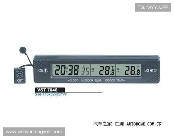 最新老虎机pp电子版游戏下载指南及安全保障措施全面解析